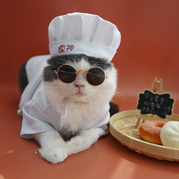 Dress Your Small Dog in Style with Our Changing Clothes!