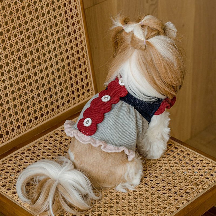 Keep Your Pup Cozy This Winter with Stylish Small Dog Clothes