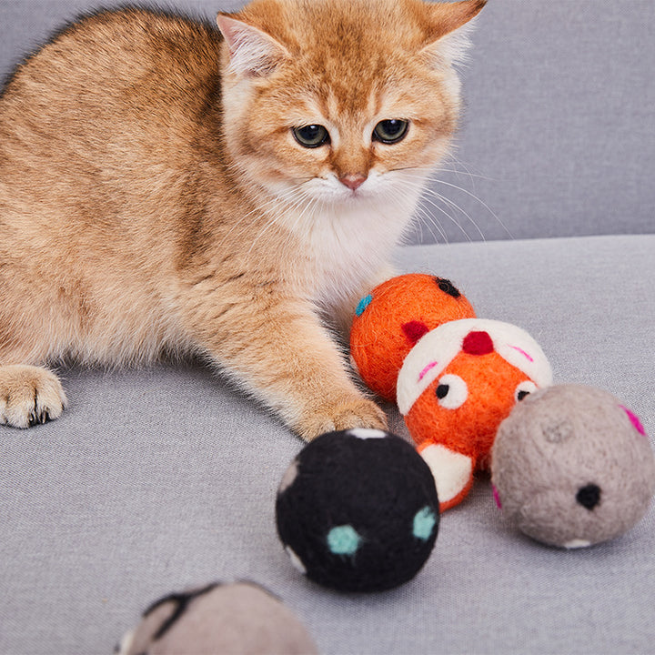 Exciting Interactive Cat Toy Ball - Chirps, Croaks & Purrs!