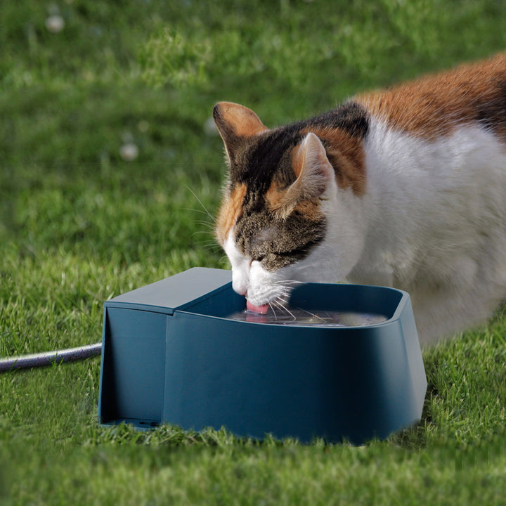automatic water storage drinker