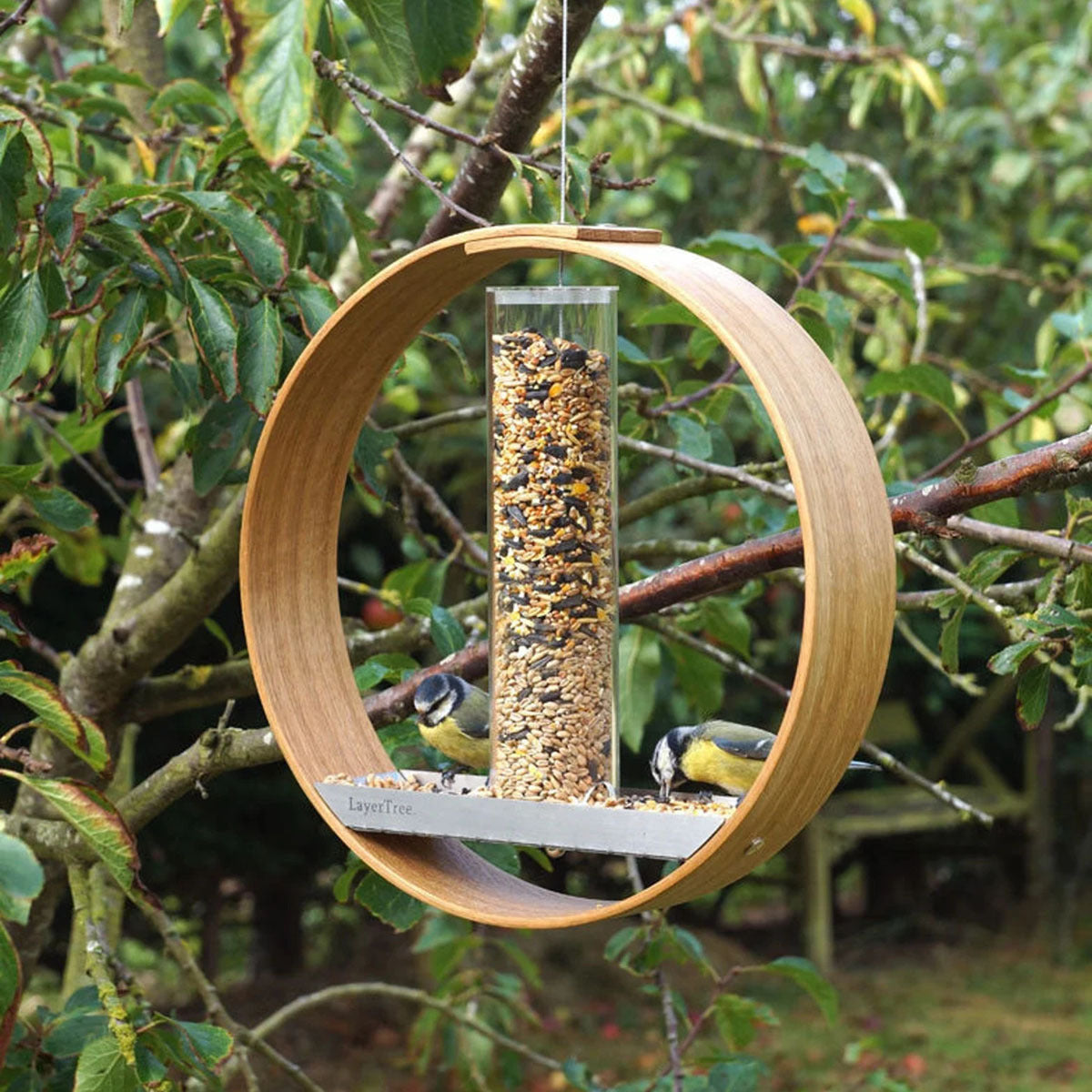 Elevate Your Birdwatching Experience with Our Simple Hanging Bird Feeder