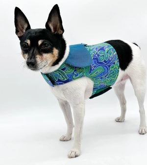 Discover the DCNY 'Pretty in Paisley' Vest-Style Harness