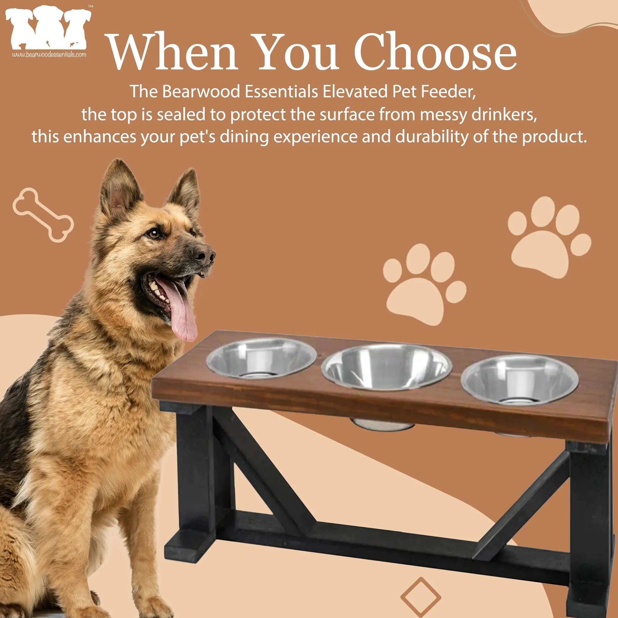 The Perfect Dining Experience for Your Furry Friend