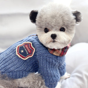 Keep Your Pup Cozy This Autumn with Our Stylish Sweater Dog Two Cotton Clothes!