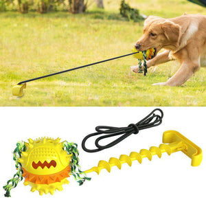 Unleash the Fun with the Pet Trainer Dog Toy Outdoor Rope Ball!