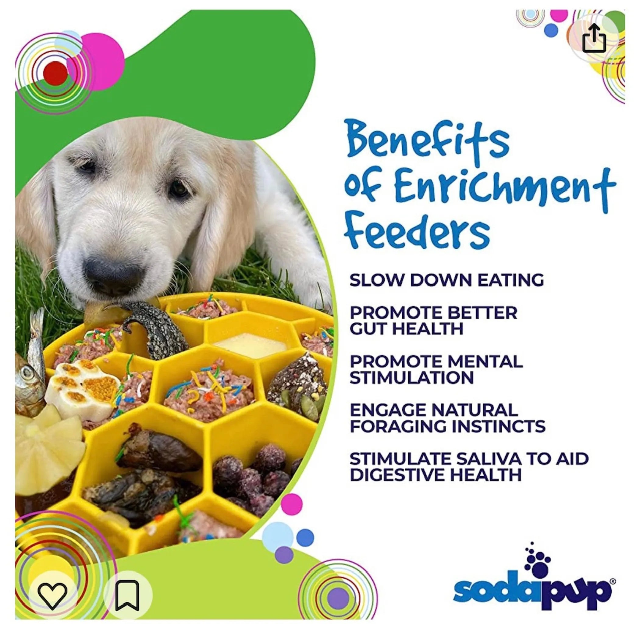 Transform Your Dog's Mealtime with the Honeycomb eBowl