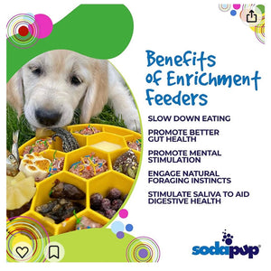 Transform Your Dog's Mealtime with the Honeycomb eBowl