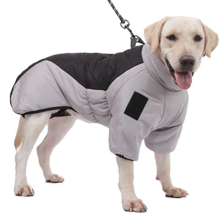 Keep Your Pup Cozy This Winter with Our Waterproof Dog Coat!