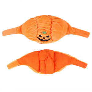 Dress Up Your Pet with the Adorable Funny Pumpkin Hat!