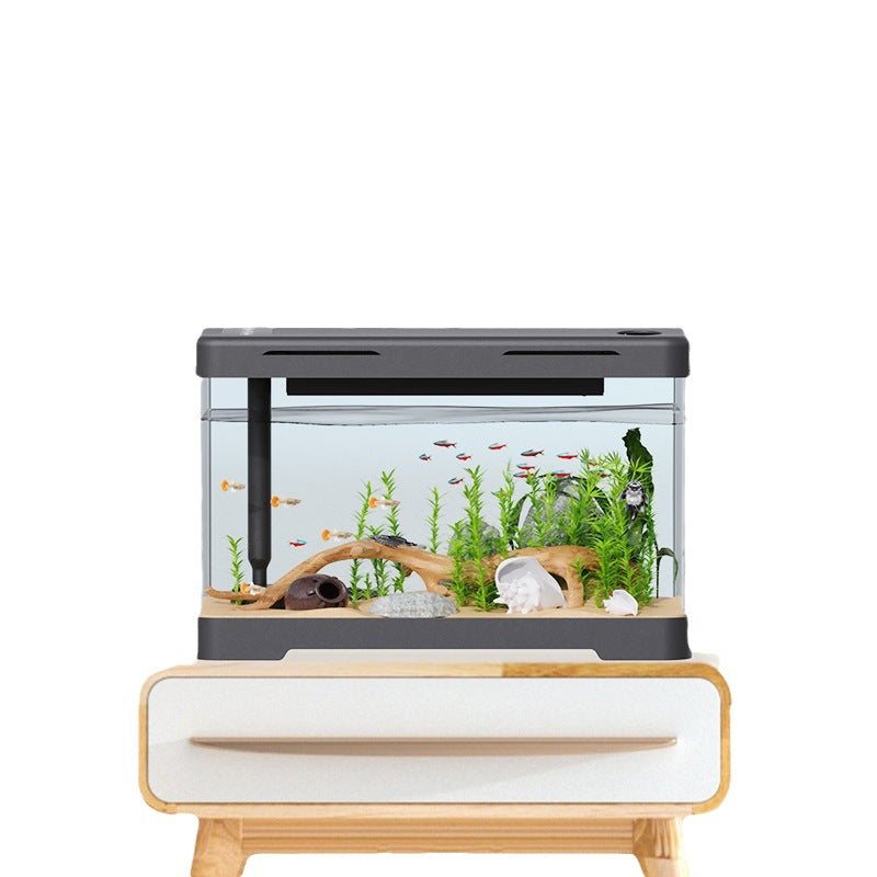 Transform Your Home with the Four Generation Acrylic Fish Tank