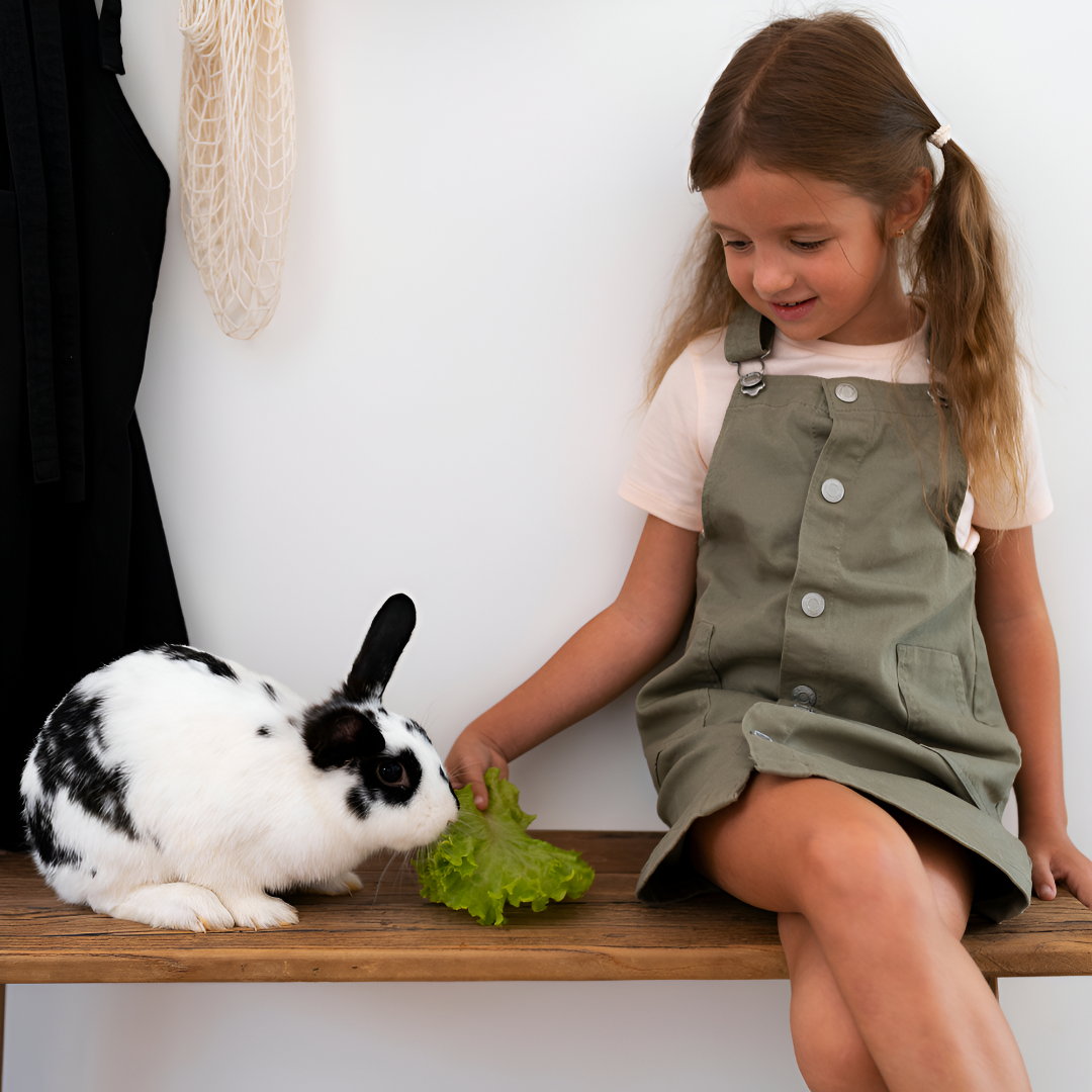 Small Pets, Big Needs — How to Care for Little Companions