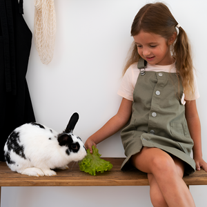 Small Pets, Big Needs — How to Care for Little Companions