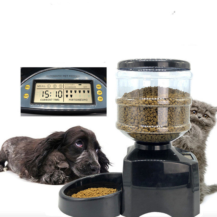 Transform Your Pet's Mealtime with the Fins Pet Paradise Automatic Pet Feeder