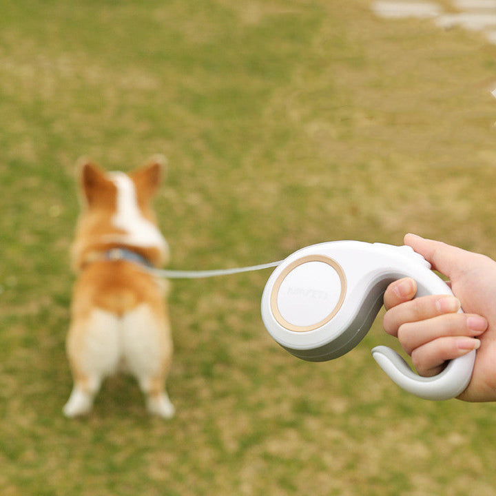 The Ultimate Companion for Your Dog Walks