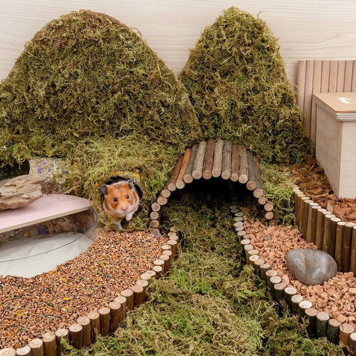 Oak Cork Hamster Digging