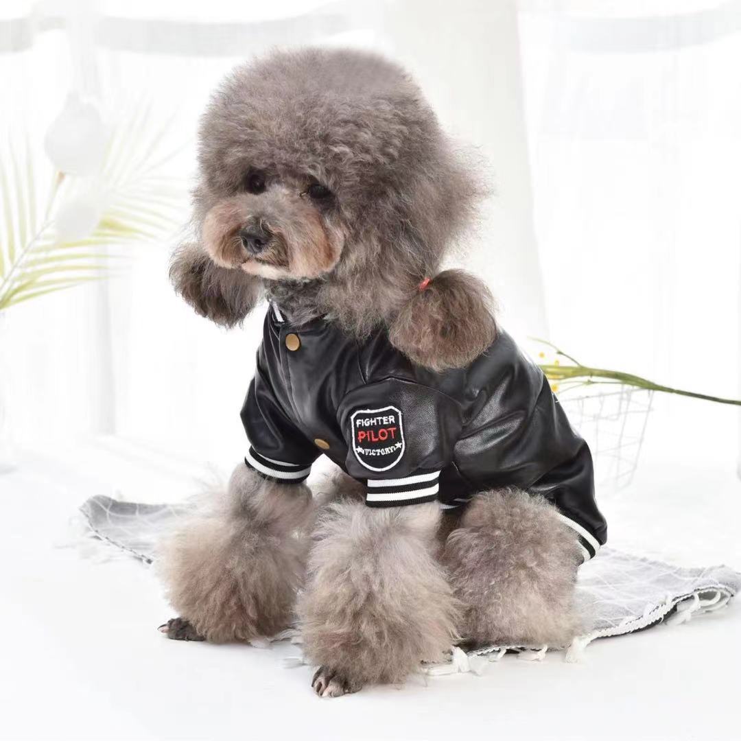 Cotton-padded Pets