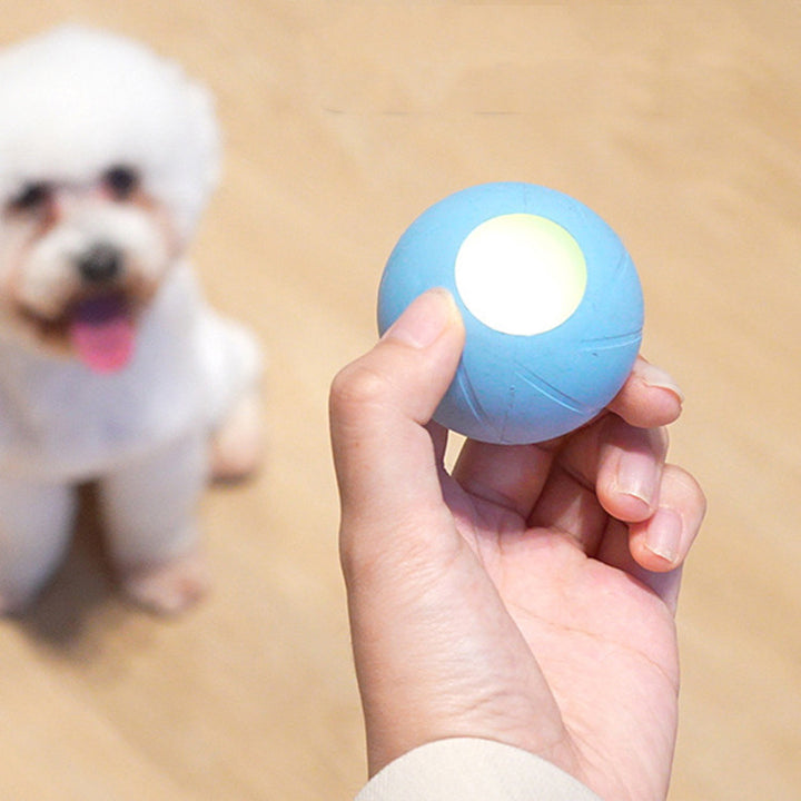 Teasing Cat Stick Smart Rolling Ball