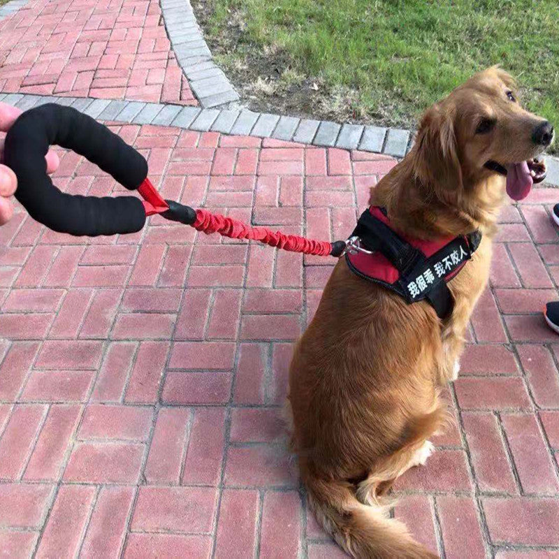 Okinawa Leash Elastic Retractable