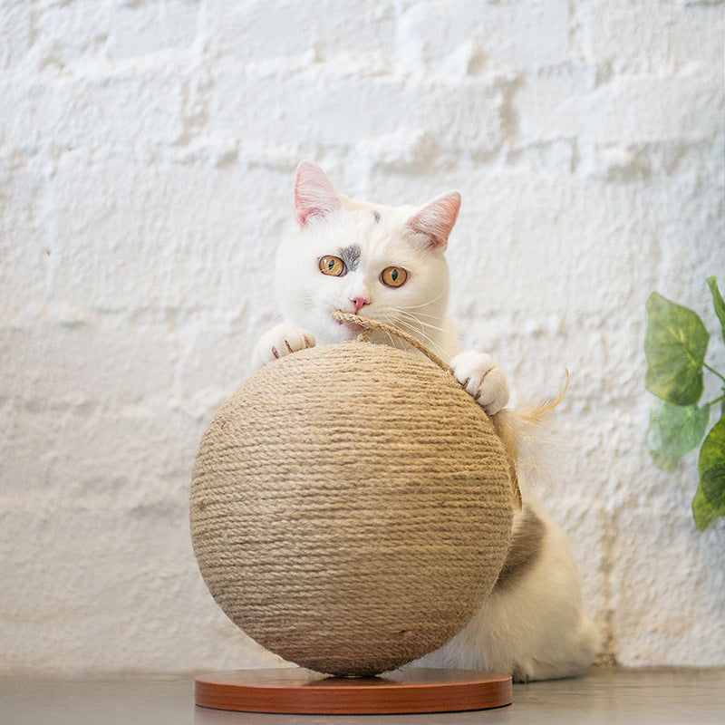 Cat catches the ball
