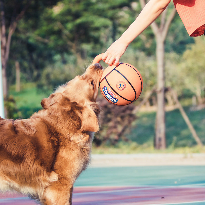 Resistant Pet Toy Ball Puzzle