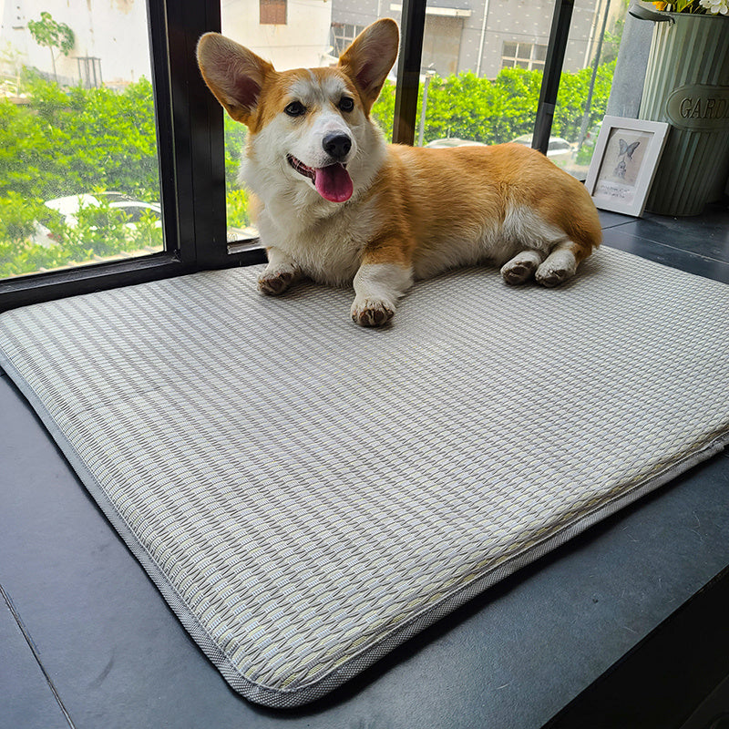 Dog Mat Sleeping With Pet Mat