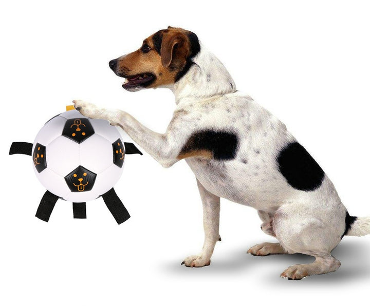 Outdoor Ball Football Dog