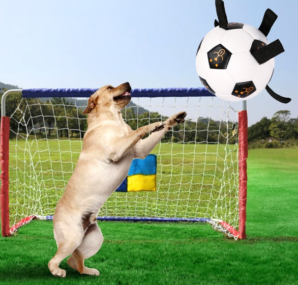 Outdoor Ball Football Dog