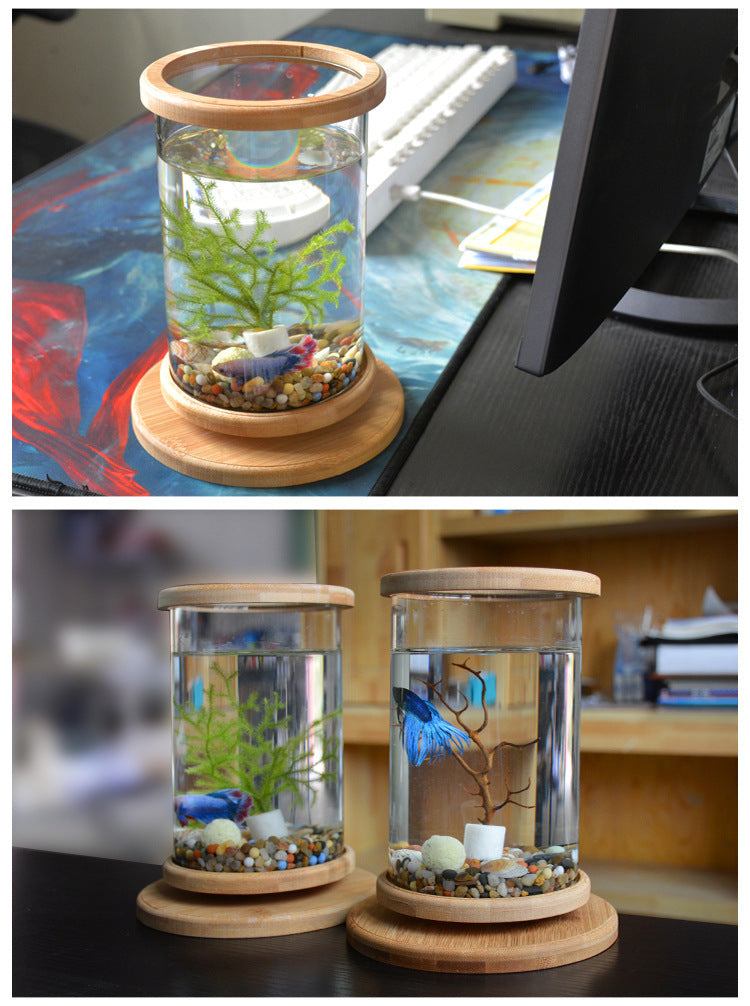 Small Office Glass Aquarium Bamboo