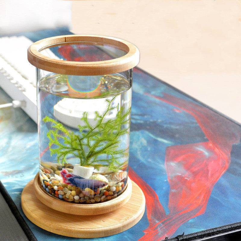 Small Office Glass Aquarium Bamboo