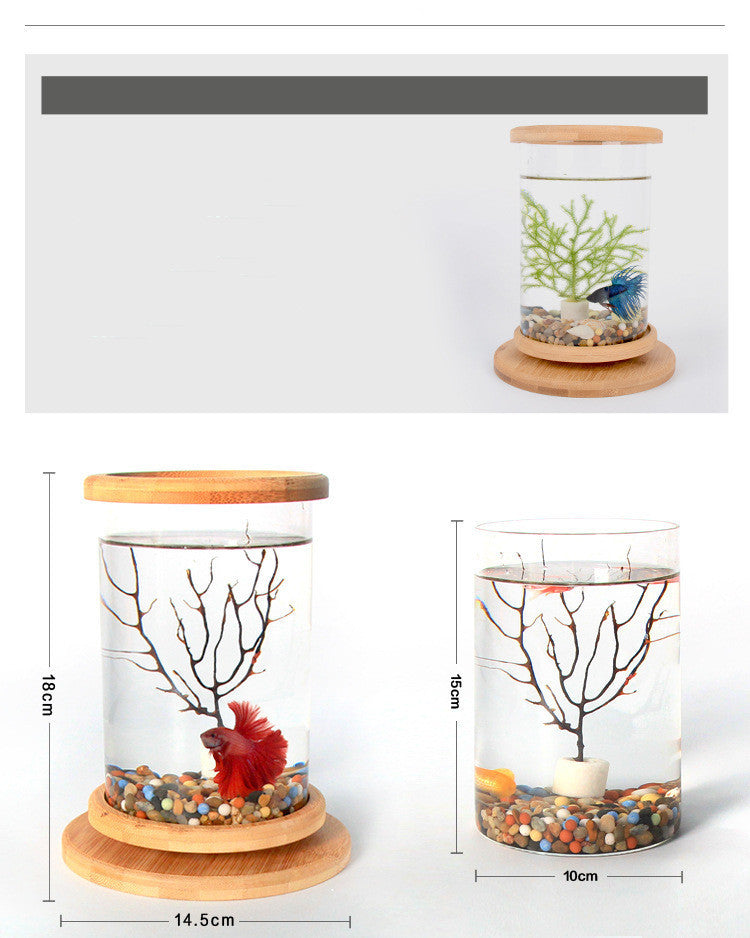 Small Office Glass Aquarium Bamboo