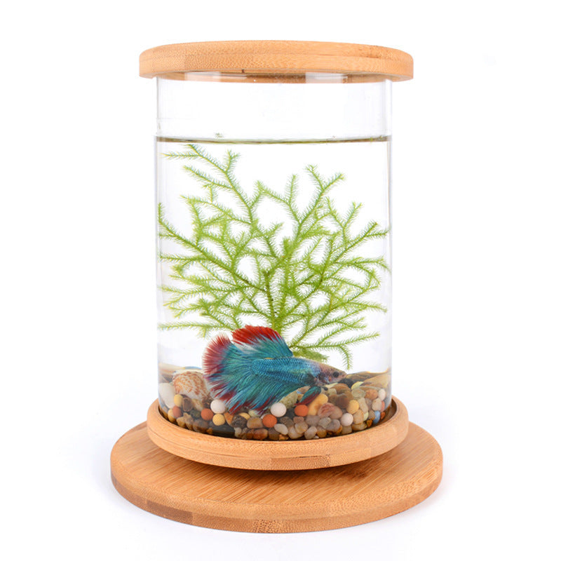 Small Office Glass Aquarium Bamboo