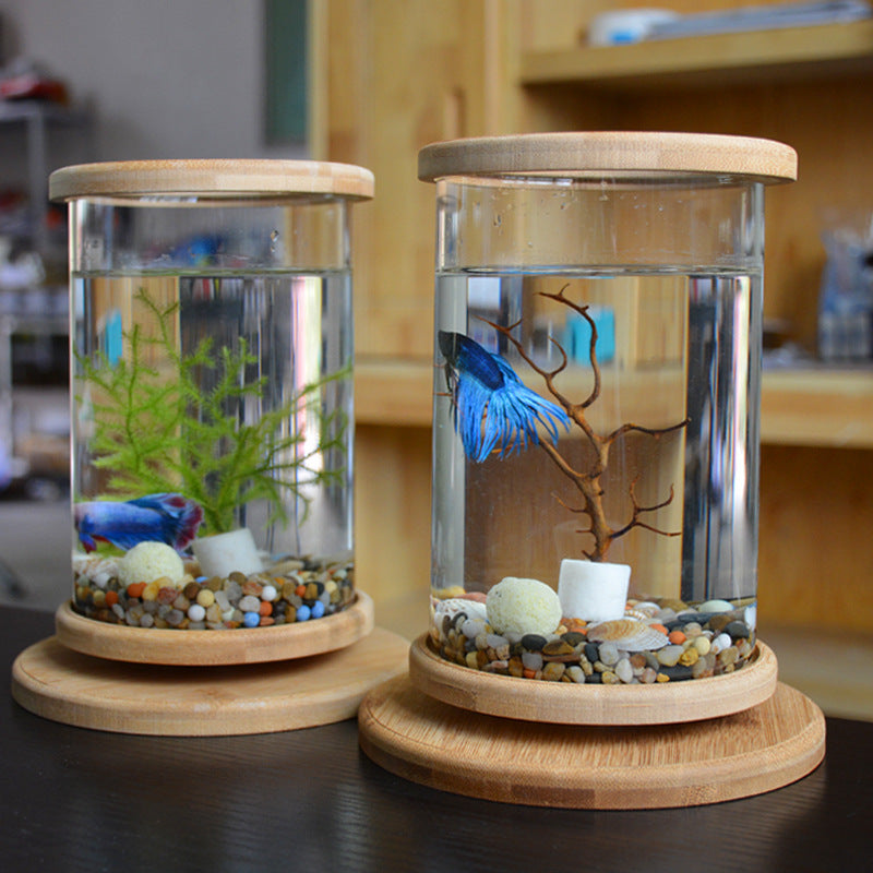 Small Office Glass Aquarium Bamboo