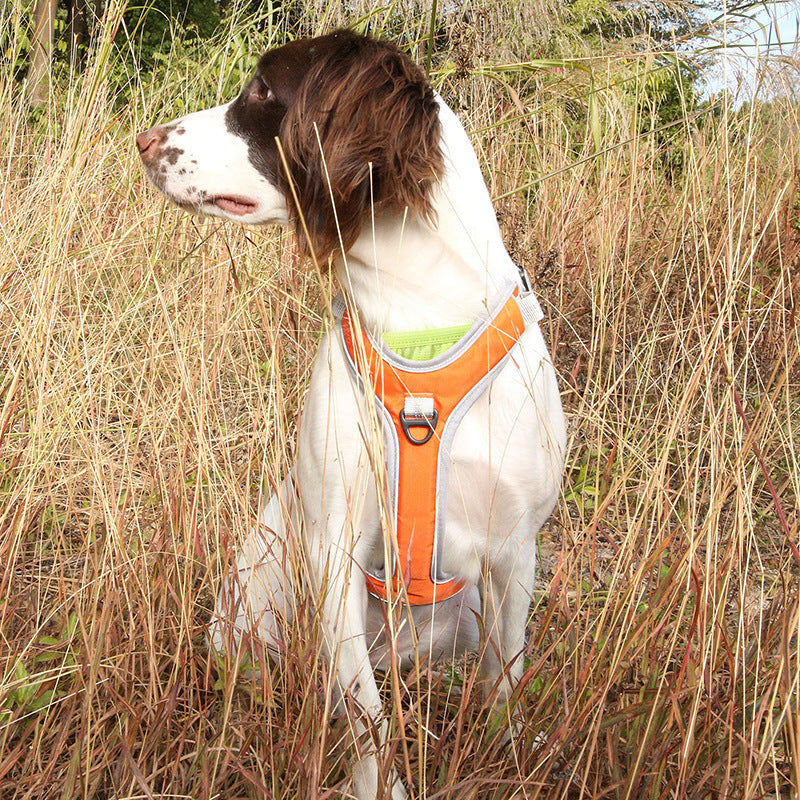 Outdoor Trekking Big Dog Chest Back Leash