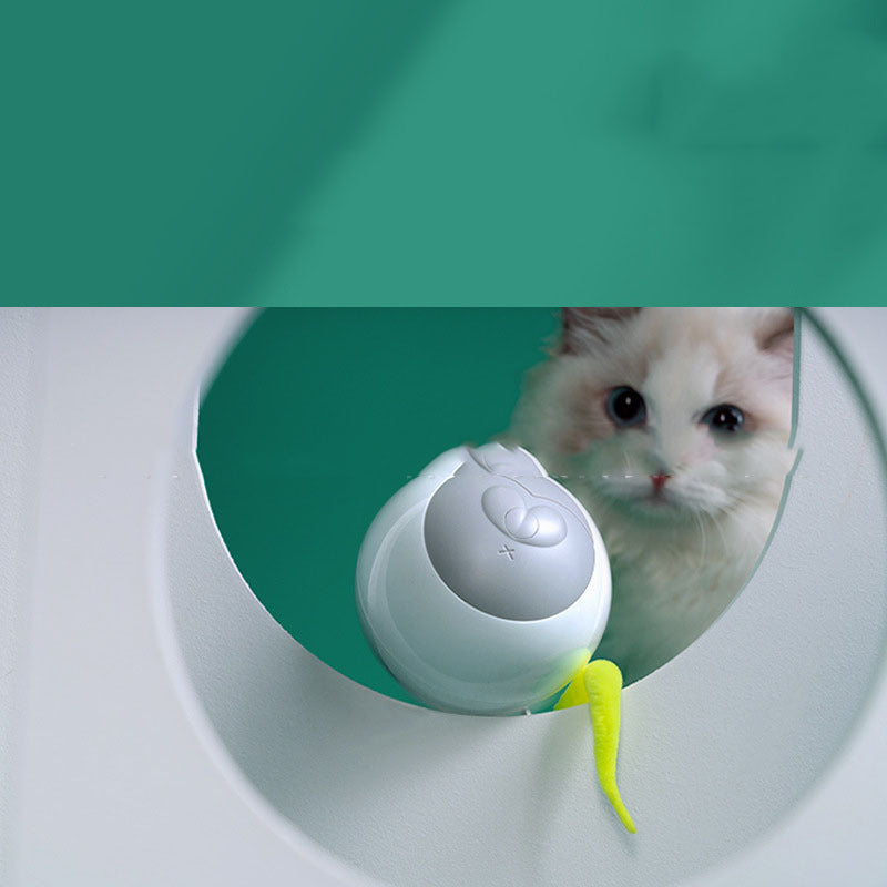 Lutomatic Funny Cat Rolling Ball