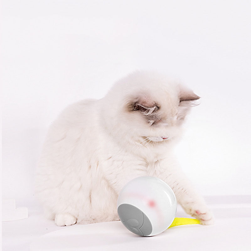 Lutomatic Funny Cat Rolling Ball