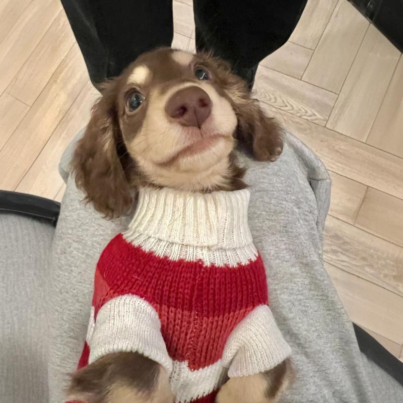Cat Warm Thickened Sweater