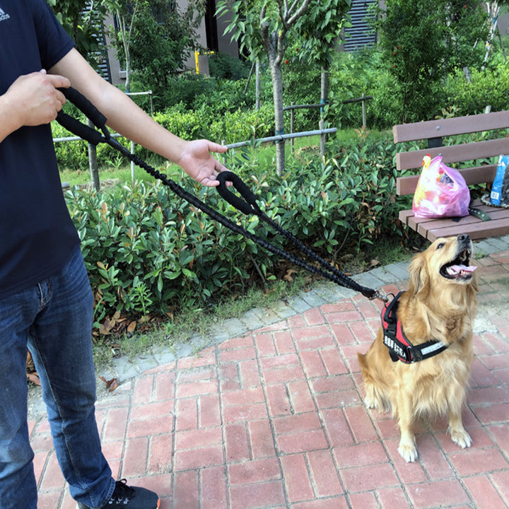 Okinawa Leash Elastic Retractable