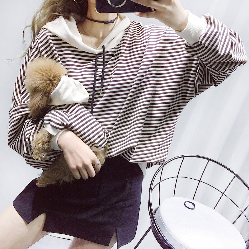 Dog Terry Sweater Teddy Small