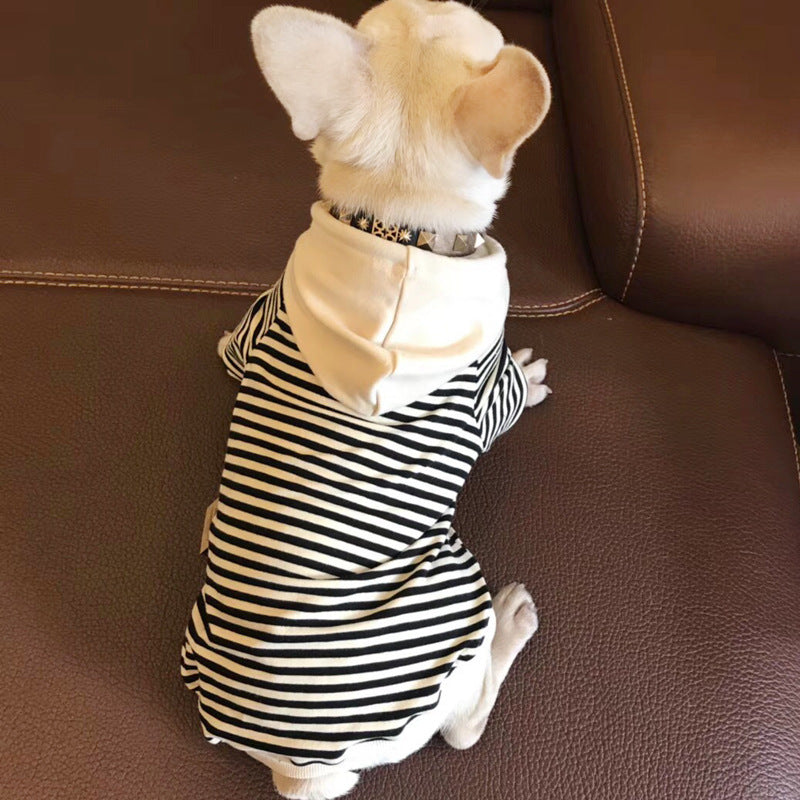 Dog Terry Sweater Teddy Small