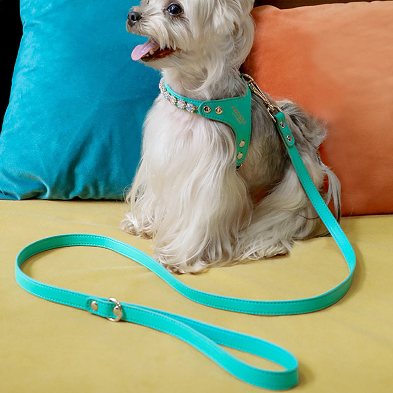 Dog Harness And Leash