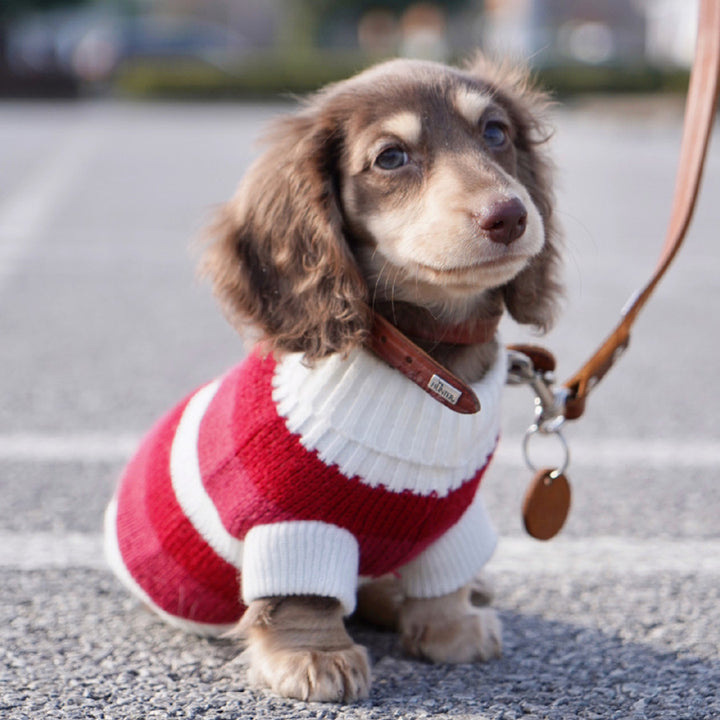 Cat Warm Thickened Sweater