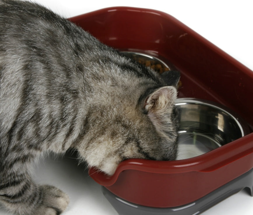 Dog bowl cat bowl pet cat double basin