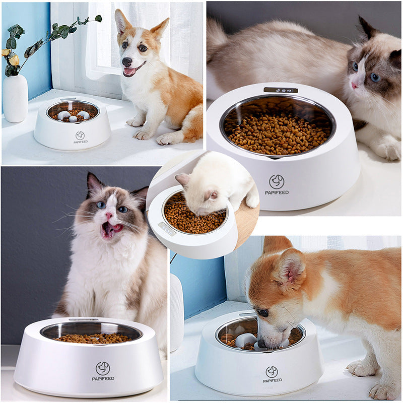 Pet Dog Bowl Slow Feeder Dog Food