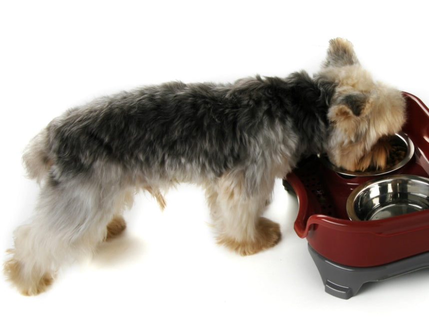 Dog bowl cat bowl pet cat double basin