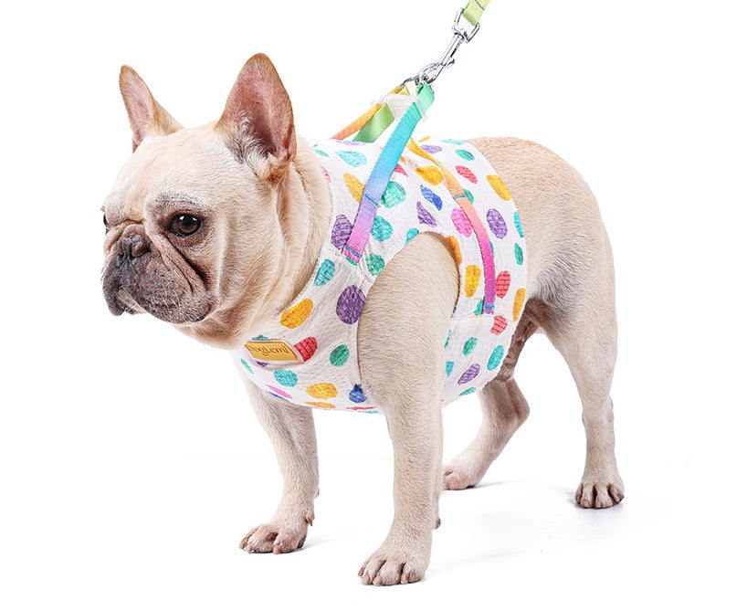 Pet Small Or Medium Sized Dog