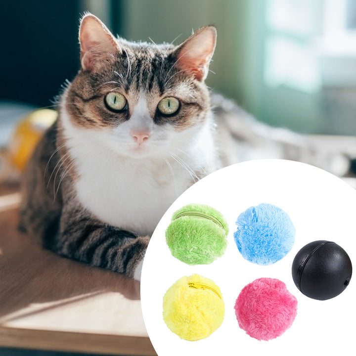 Activation Automatic Ball Dog