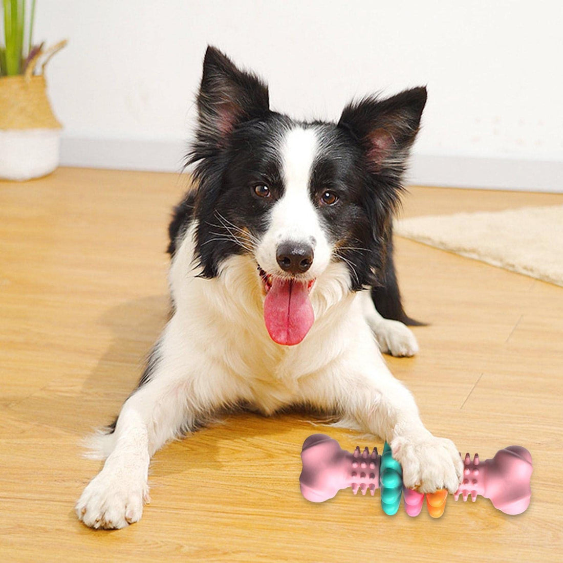 Dog Chew Toy Dog Bone Type