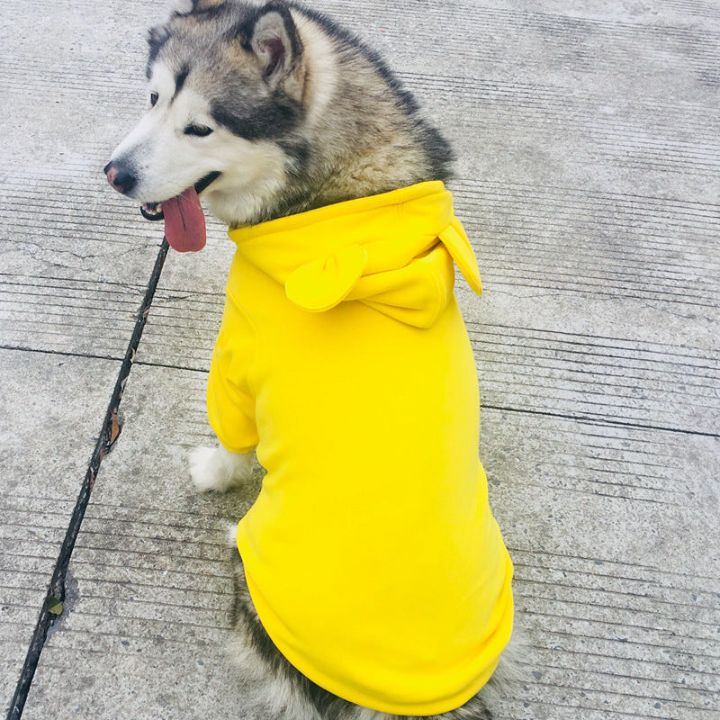 Dog sweater four seasons
