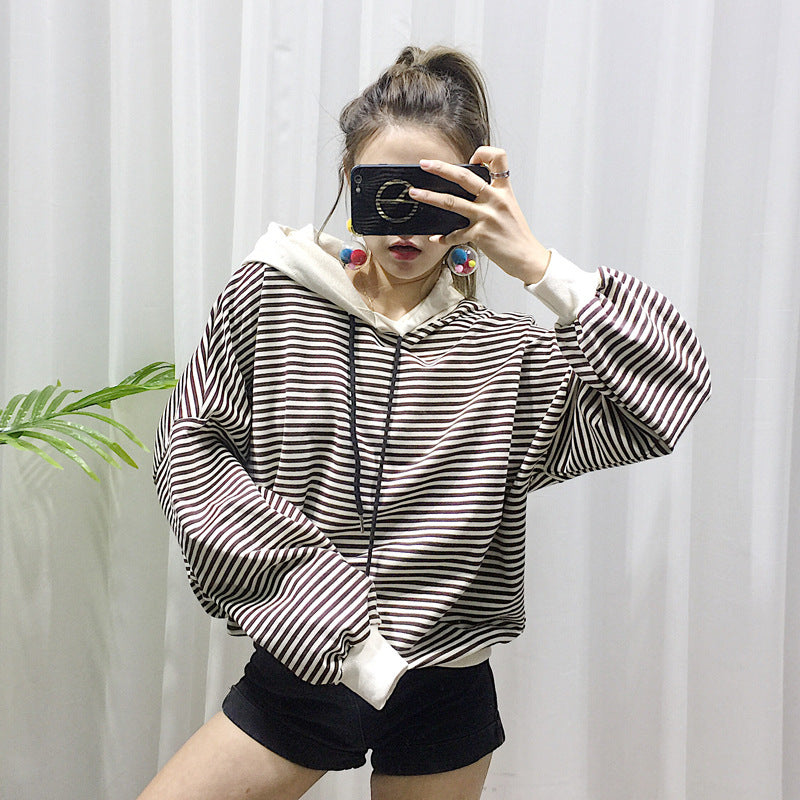 Dog Terry Sweater Teddy Small