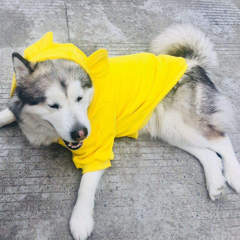 Dog sweater four seasons